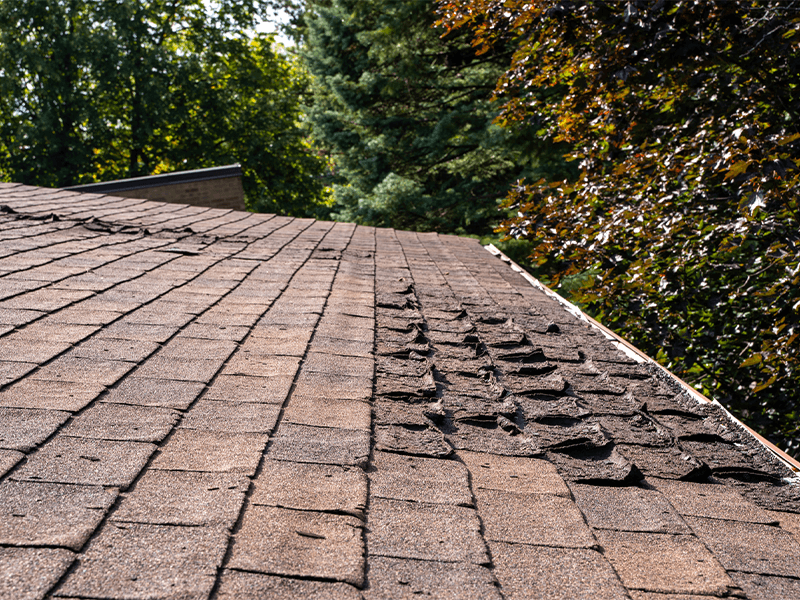 The Importance of Timely Storm Damage Roof Repair